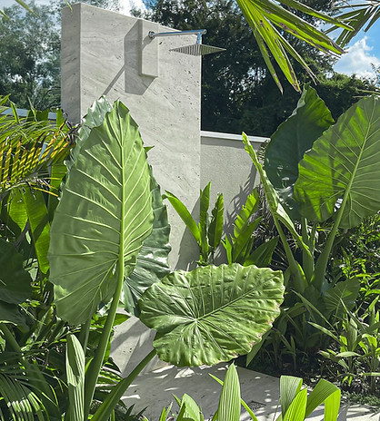 paisagismo tropical exuberante em itupeva