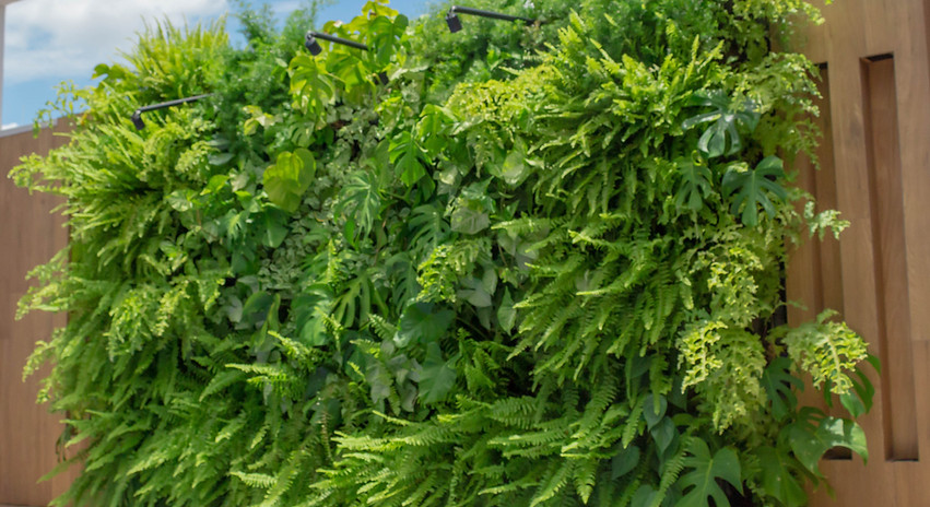 projeto de jardim vertical de alto padrão com irrigação automatizada