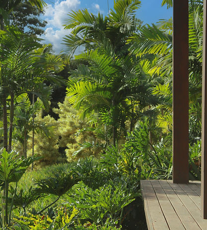 jardim paisagismo tropical em indaiatuba