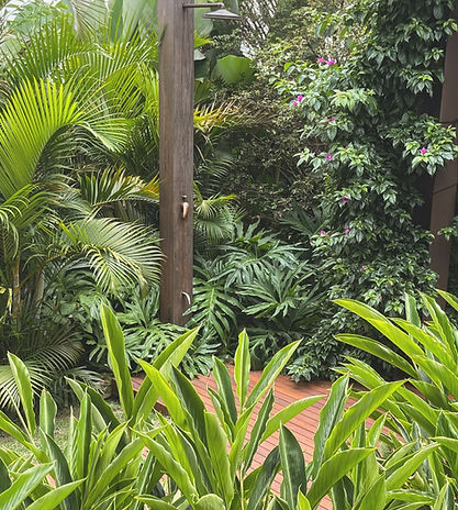 projeto de paisagismo tropical de alto padrão