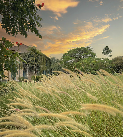 projeto de paisagismo toscano em indaiatuba
