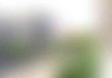 Modern garden design 3d visual of an entrance garden