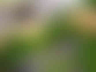 Naturalistic planting design in a sloping garde