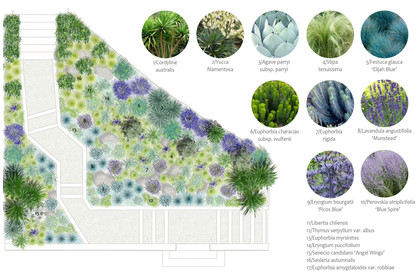 plant selection planting plan