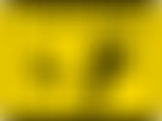 Telemarketer Joe Delfgauw throws his current attorney Donna Gibson under the bus