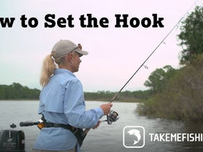Set the hook on 47 CFR § 64.1200(d) TCPA violations