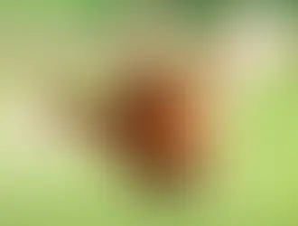 SolidQuote flies the coop because the TCPA case was built wrong - let's do better