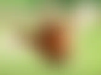 SolidQuote flies the coop because the TCPA case was built wrong - let's do better