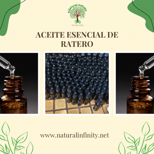 Aceite Ratero Aceite Esencial de Ratero | Natural Infinity