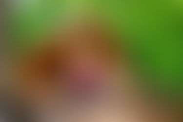 Lehrlingsprojekt 2024