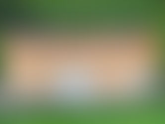 Ersatzneubau Vogelschutzverband