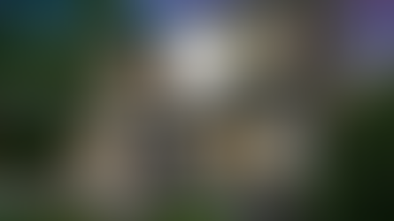 Neighborhoods of Arlington | Aurora Highlands