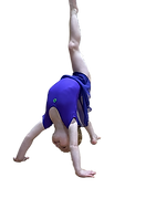IMG_6645_edited.png