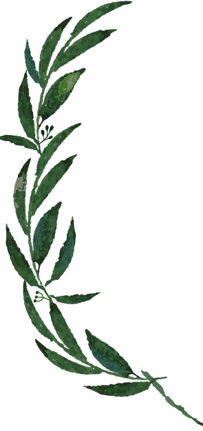 leaves2_edited_edited.png