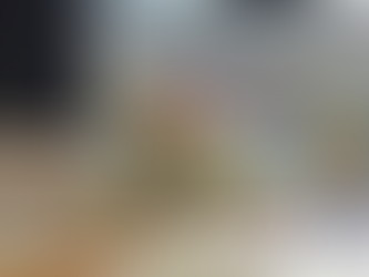 Vereador de São Carlos fala sobre projetos e ações na casa