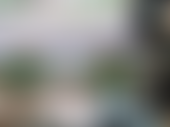 Representantes do Lions Club de São Carlos falam sobre ações