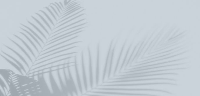 Social_palm_Social_media_marketing_28.pn