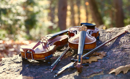 fiddles