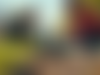 Student Leadership Opportunities in Chemistry Conservation Club