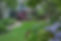 website picture 1.jpeg