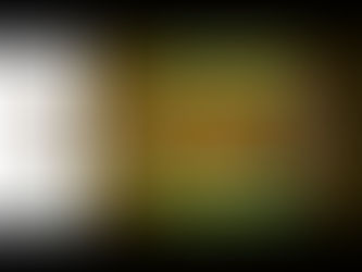 Hon. Minister Ashish Shelar Presents Neighbourhood Winter Festival ‘25