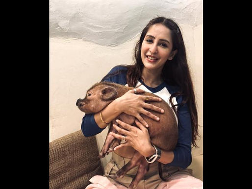 From Playtime to Pure Love Chahatt Khanna Proves She’s Every Bit an Animal Lover