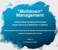 Meltdown Management (OCCRRA) Teachable C