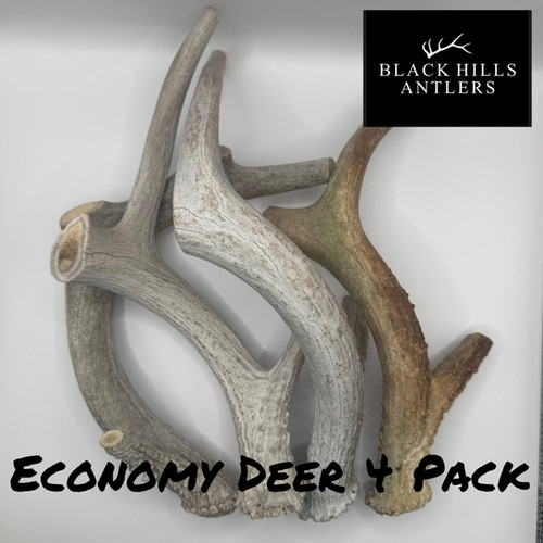 VENISON ANTLER LL２個、L 1個の3個セット送料込、匿名配送‼️ XL Economy Deer Antler Dog Chew - multi-pack | Black Hills Antlers