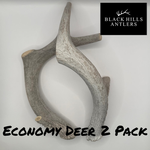 XL Economy Deer Antler Dog Chew - multi-pack | Black Hills Antlers