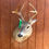 Thumbnail: Whitetail Deer Shoulder mount
