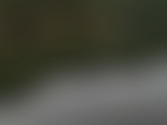解禁速報 型は小ぶりだけどいい感じにつれてます