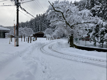 1/2から1/3 現状も降雪中ですので ワカサギ釣りを中止します