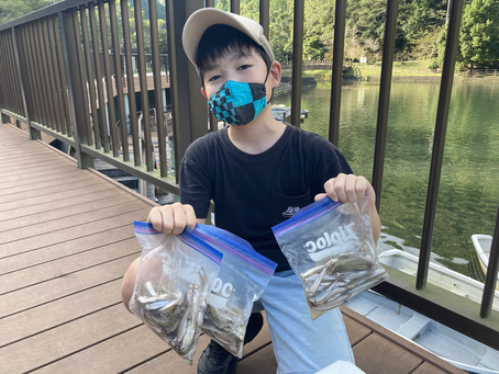 河合sho君　お父さんと釣ったよ　200匹以上