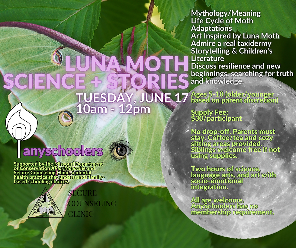Luna Moth Science + Stories