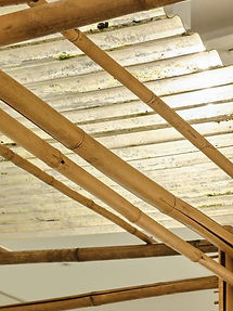 photo1712291386 (1).jpeg