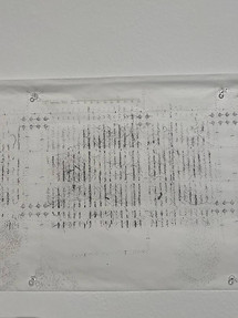 photo1712199781 (2).jpeg