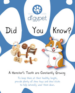 Hamster Tip (social media post)