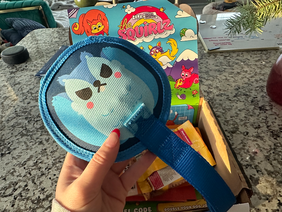 Steve's January Super Chewer Bark Box