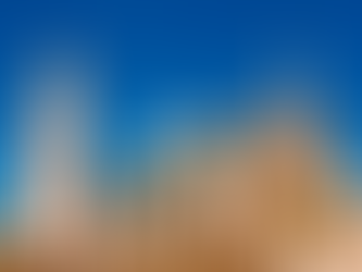 Dog-Friendly Fall Hike