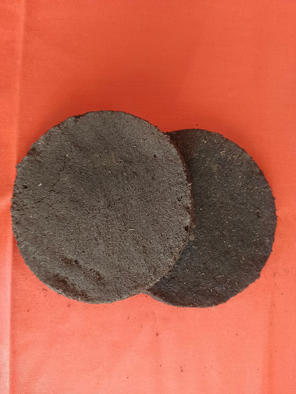 Thumbnail: Cowdung Cakes