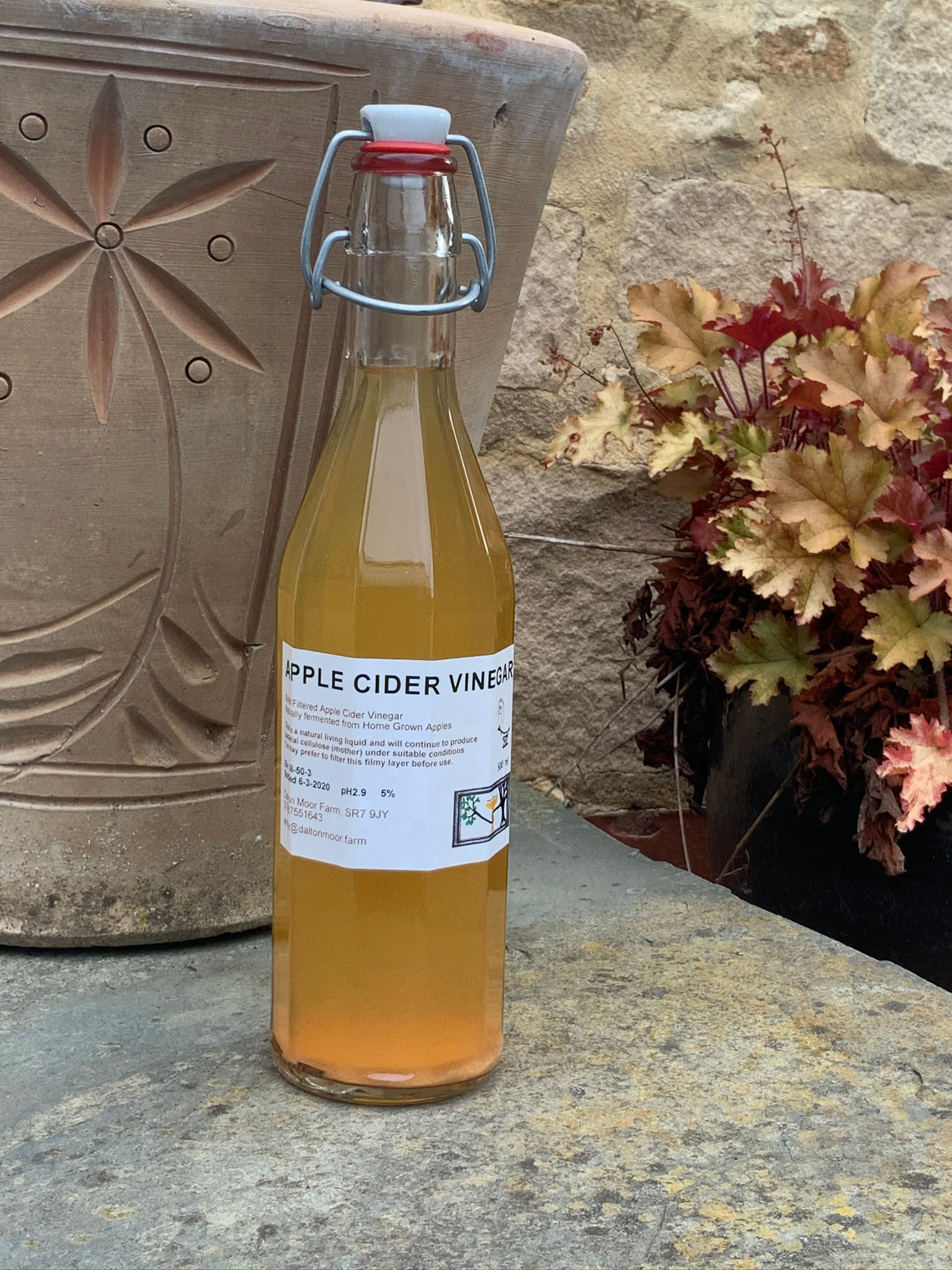 Apple Cider Vinegar 500ml