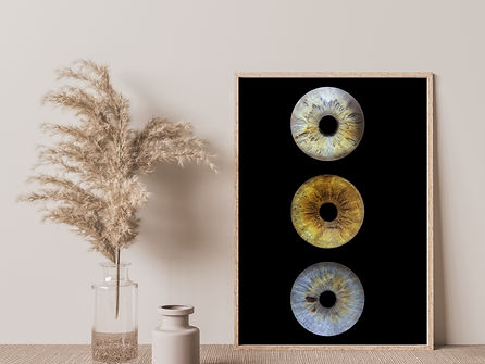 photo iris beaune yeux