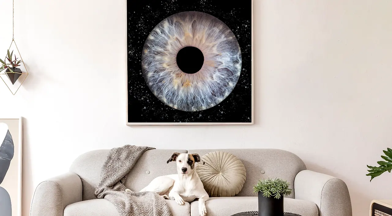 photo iris beaune yeux romain bebon