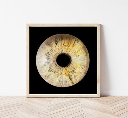 photo iris beaune yeux