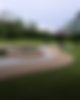 Untitled design (38).png