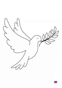colombe.webp