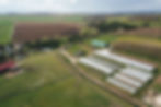 1-DJI_0986-230417.jpg