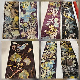 Ecoprinted silk and Wool-student results