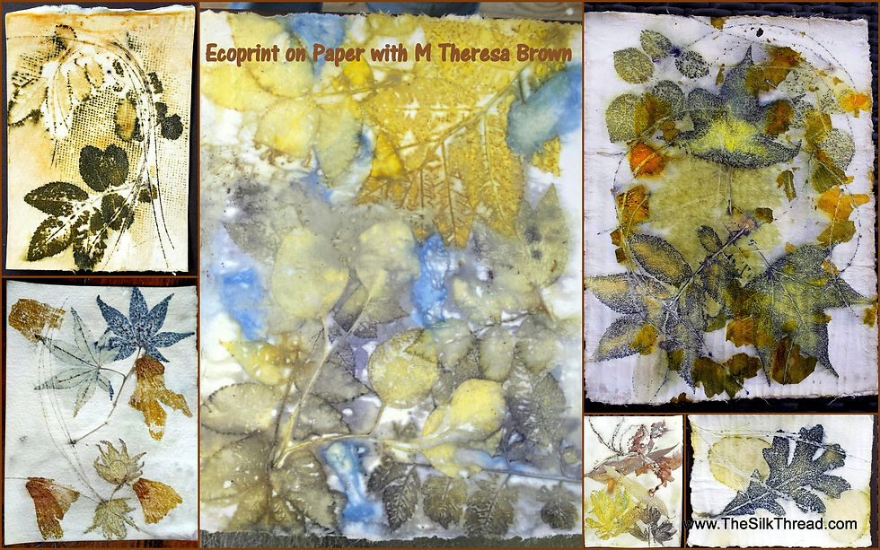 Thumbnail: Ecoprint on Paper Supply Package, Use with my Tutorials and Online Workshops,Fib