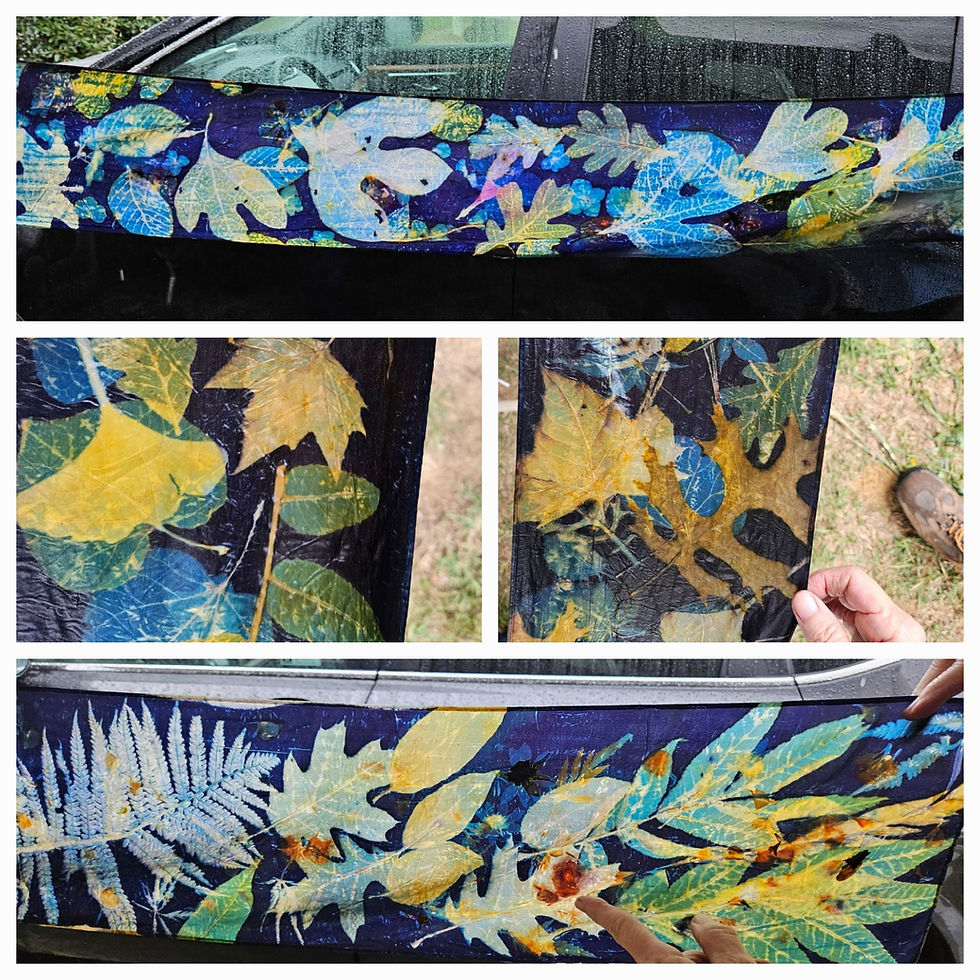 Thumbnail: Pre-dyed Dye Blankets for Botanical Printing on Silk/Wool